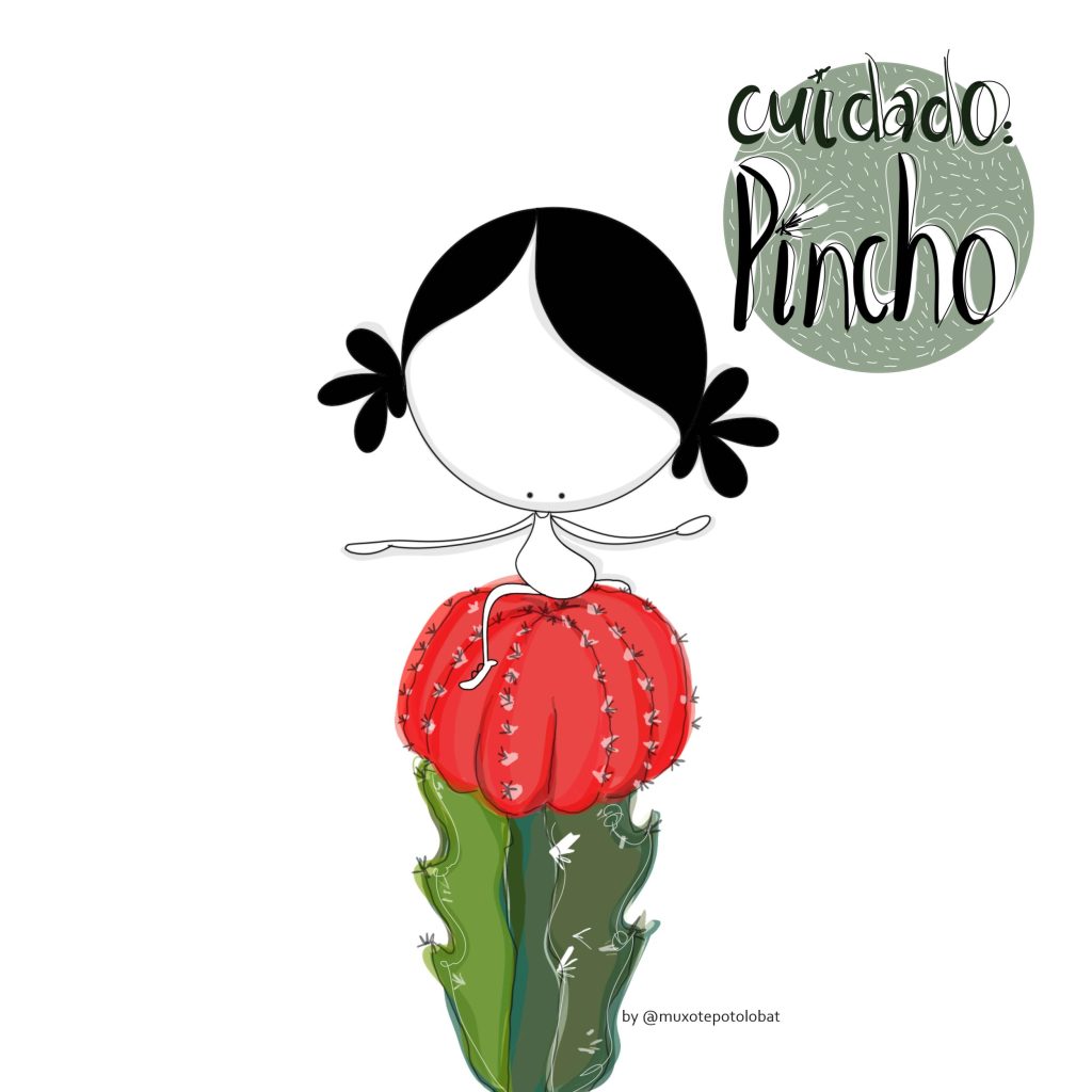 Pincho